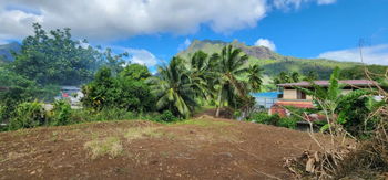 Terrain exceptionnel de 1 520 m² à Paopao, Moorea