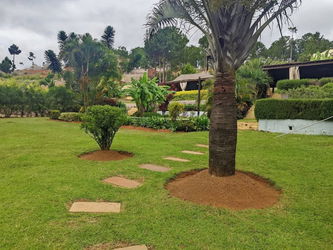 Jardin