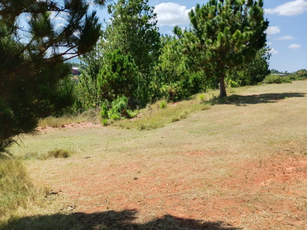 Maison familiale Bruxelles