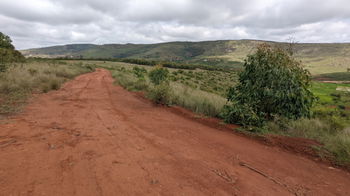 Propriétaire direct VEND  Un grand terrain de 29.750 m2 (2Ha97ca50a)  à 3km d'ambatolampikely RN2. Accessible, bord de route . Électricité et eau à proximité.  - Idéal pour projet agricole - Espace ( Loisirs, Auberge, sns ... ) - Grande usine  Papier (Titré, borné) 50.000Ar/m2 Contact : 033 76 085 86