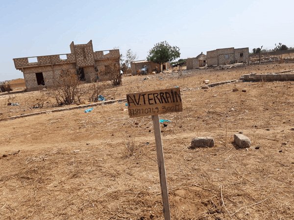 Vente VENDS TERRAIN NGUERIGNE PEULH M'Bour Sénégal