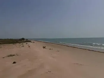 Vente Terrain 220m2 2e position mer ngaparou Saly Portudal Sénégal