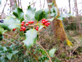 Dans l'attente de faire votre connaissance
