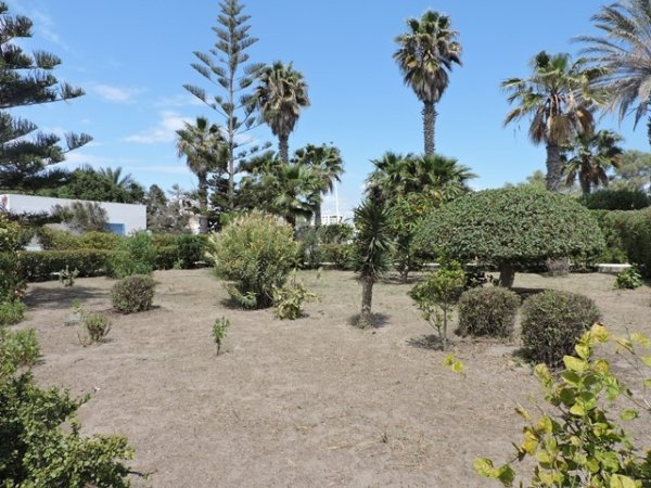 Vente Villa Citronelle Hammamet Nord Tunisie
