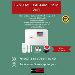 système d'alarme gsm/wifi