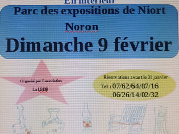 Annonce Vide grenier intérieur Niort Deux Sèvres