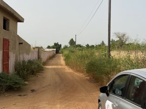 Vente 1 lot terrains 1000 metres carres saly Saly Portudal Sénégal