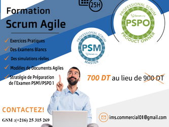 Devenir AGILE Scrum Master Product Owner PSM 1 / PSPO 1 Tunis