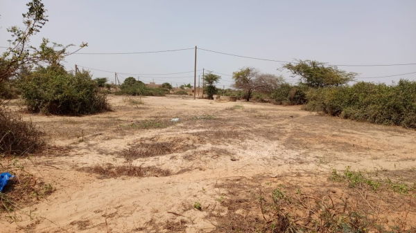 terrains 150 mètres carrés  à vendre à Bambilor