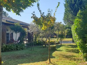 Annonce Vente maison 1 beau jardin Chaves Portugal