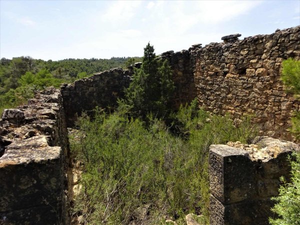 Vente Terrain oliviers construction dans nord l'Espagne Aragon 0808