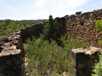 Vente Terrain oliviers construction dans nord l&#039;Espagne Aragon 0808