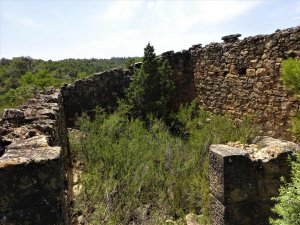 Terrain avec oliviers et construction dans le nord de l'Espagne (Aragon) - 0808