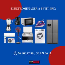 ELECTROMENAGERS