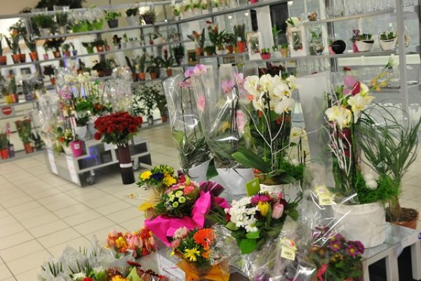 Fonds commerce Vends magasin fleuriste Baie Ile Maurice