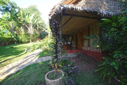 jardin