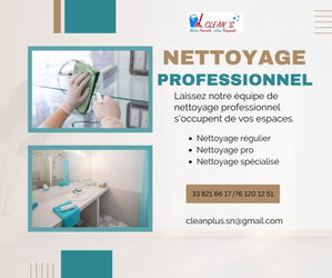 Annonce NETTOYAGE PROFESSIONNEL VOTRE DISPOSITION SENEGAL Dakar Sénégal