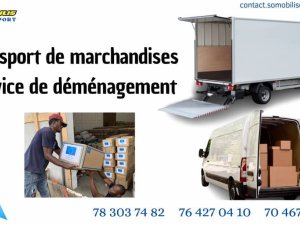 Annonce Services déménagement /Transport marchandises Dakar Sénégal