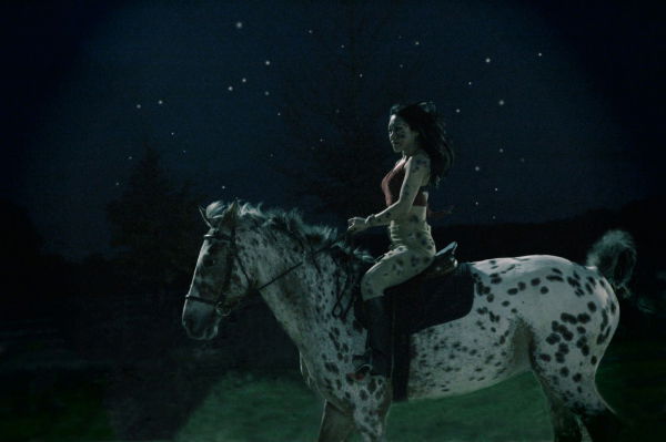 Jing Chen Galerie 21