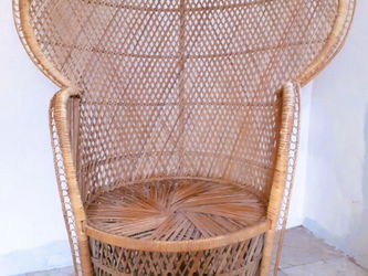 Fauteuil Emmanuelle Renaix Belgique