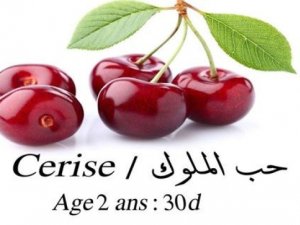 plante cerisier Tunis Tunisie