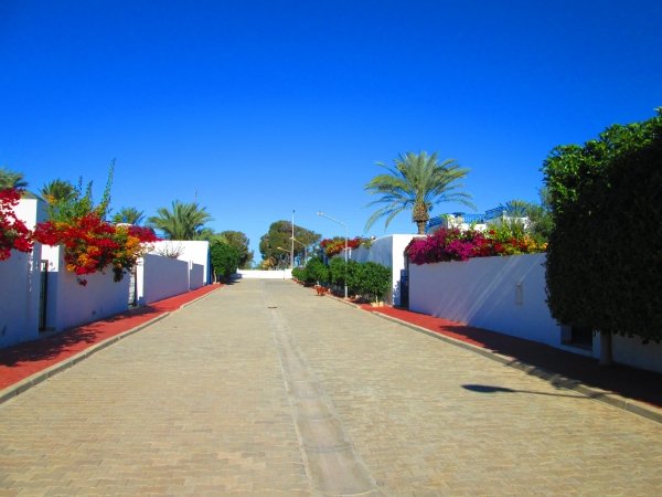 Vente charmante maison titre bleu ZU Aghir- Djerba Medenine Tunisie