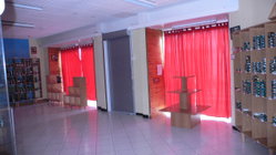 deux vitrines sur rue commerçante