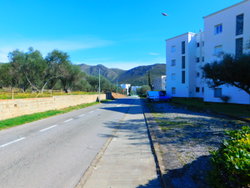 rue