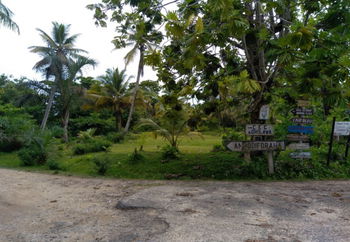 Vente Terrain route Ile Sainte Marie Madagascar Ile sainte-marie