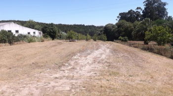 Terrain urbain pour construction d&#039;une villa située près Caldas da Rainha