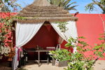 espace salon arriere