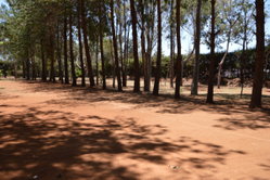 Antsirabe - 10 OOOm² de terrain arboré dans un secteur en plein développement