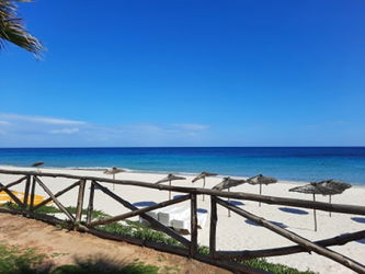 Vente Situation Exceptionnelle S2 Rez chaussée Folla Sousse Tunisie
