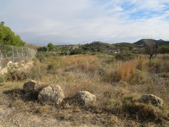 Annonce Vente TERRAIN 3837M2 AIGUES BUSOT Alicante Espagne