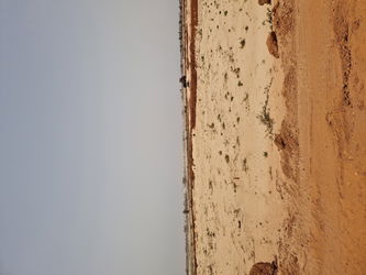 Annonce Vente Terrain titre foncier niaga Rufisque Sénégal