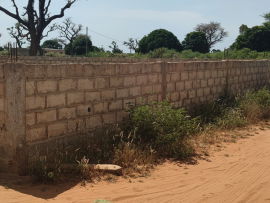 Vente Parcelle 300 m² Keur Youngar Saly Portudal Sénégal