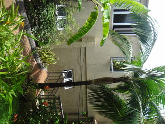 Location vacances Hébergement pour des vacances rêvées Tamarin Ile Maurice