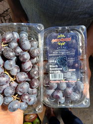 raisin