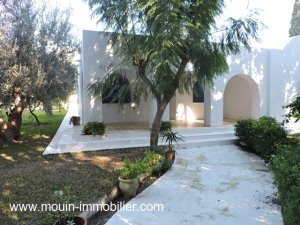 Location dar olivo al hammamet Tunisie