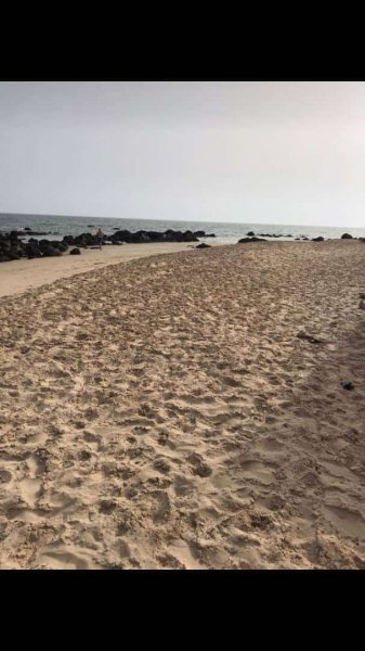 Vente Des terrains pieds dans l'eau warang Saly Portudal Sénégal