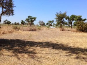 Vente terrain 1200 metres carres malicounda M&#039;Bour Sénégal
