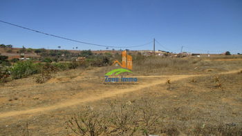Location Beau terrain 4Ha Lohanosy Ambohijanaka Antananarivo Madagascar