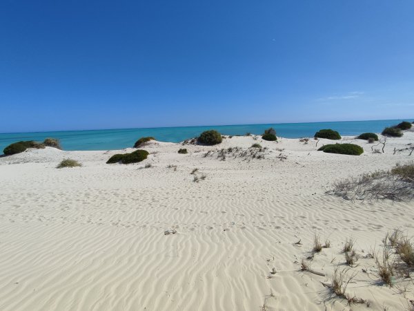 Superbe Terrain plage sable blanc Cote Saphir 130km Nord Tuléar MADAGASCAR