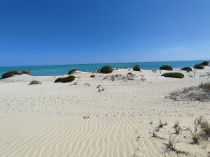 Annonce Vente superbe terrain plage sable blanc cote saphir 130km nord tuléar madagascar Toliara