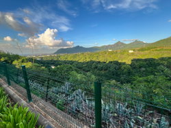 Vue montagne