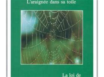 eBook Moi moi moi l&#039;araignée dans sa toile Paris