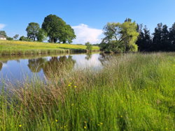 etang 4000m2 sur 2ha