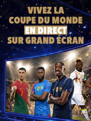 france senegal