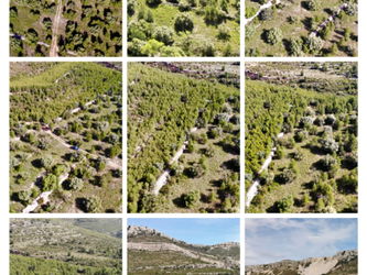 Vente Terrain 59267 M2 Canet Espagne