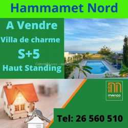 Vente villa Hammamet Zone Kharouba Tunisie